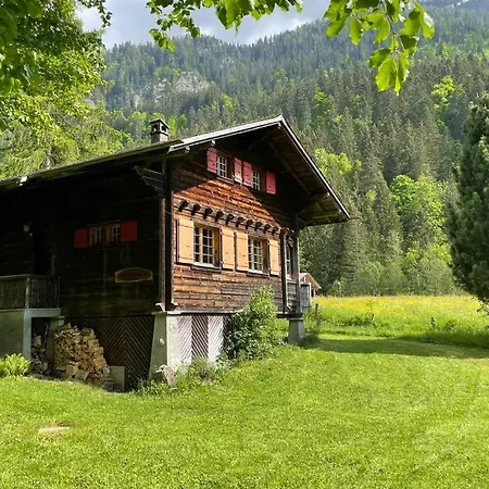 Cosy Chalet In A Wonderful Green Landscape בקתה Bex